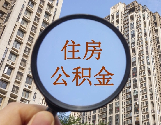 沧州退休后查不到公积金明细了吗（退休后公积金查询不到原因）